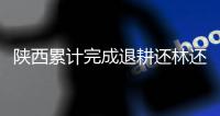 陕西累计完成退耕还林还草4130.64万亩
