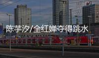 快排公司十年历程，霸屏兔 seo 的崛起与坚守