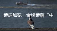 荣耀加冕丨金牌荣膺“中国十大电缆品牌”，匠心铸就行业辉煌