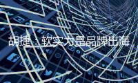 快排公司十年历程，霸屏兔 seo 的崛起与坚守