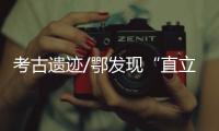 快排公司十年历程，霸屏兔 seo 的崛起与坚守