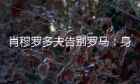 快排公司十年历程，霸屏兔 seo 的崛起与坚守
