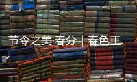 节令之美·春分｜春色正中分，人间恰良辰