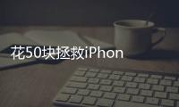 快排公司十年历程，霸屏兔 seo 的崛起与坚守