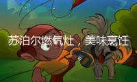 快排公司十年历程，霸屏兔 seo 的崛起与坚守