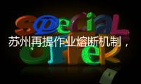 快排公司十年历程，霸屏兔 seo 的崛起与坚守