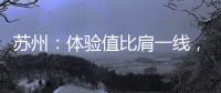 苏州
：体验值比肩一线，城市公共空间中的“苏式美学”