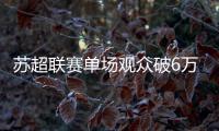 苏超联赛单场观众破6万创纪录，足球概念股集体大涨共创草坪涨停