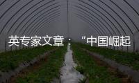 英专家文章

：“中国崛起见顶”是西方一厢情愿