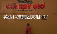 快排公司十年历程，霸屏兔 seo 的崛起与坚守