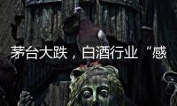 茅台大跌，白酒行业“感受到冷气”