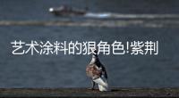 快排公司十年历程，霸屏兔 seo 的崛起与坚守