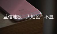 蓝信地板
：大地色，不显眼，却很高级