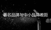 快排公司十年历程，霸屏兔 seo 的崛起与坚守