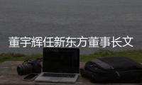 快排公司十年历程，霸屏兔 seo 的崛起与坚守