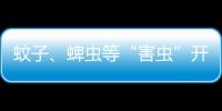 蚊子	、蜱虫等“害虫”开始活跃，这份防虫全攻略请收好