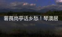 薯莨岗亭话乡愁！琴澳居民共绘客家风情画卷