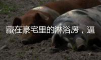 藏在豪宅里的淋浴房，逼格简直不要太高……