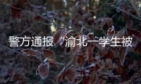 警方通报“渝北一学生被人贩子针扎后昏迷”：嫌疑人已被刑拘