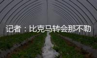 快排公司十年历程，霸屏兔 seo 的崛起与坚守