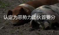 认定为恶势力团伙首要分子！95岁离休干部获刑五年