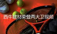 快排公司十年历程，霸屏兔 seo 的崛起与坚守
