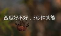 西瓜好不好
，3秒钟就能验
！验瓜师有啥技巧？
