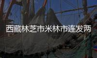 快排公司十年历程，霸屏兔 seo 的崛起与坚守