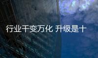 快排公司十年历程，霸屏兔 seo 的崛起与坚守