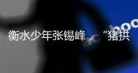 衡水少年张锡峰	，“猪拱白菜”之后