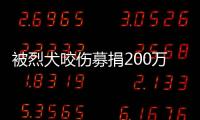 被烈犬咬伤募捐200万争议�：医院称未开证明�，轻松筹称家属自估金额