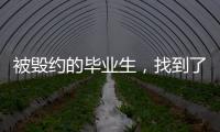 被毁约的毕业生，找到了更好的工作丨记者手记