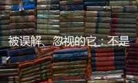 被误解、忽视的它：不是凉拌菜	，退化形势严峻｜世界海草日