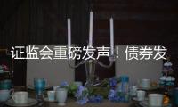 证监会重磅发声
！债券发行迎新规 这些“常见行为”被明令禁止