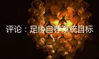 评论：足协自荐系统目标需更加明确