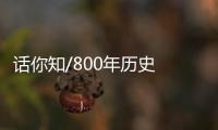 快排公司十年历程，霸屏兔 seo 的崛起与坚守