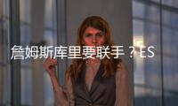 快排公司十年历程，霸屏兔 seo 的崛起与坚守