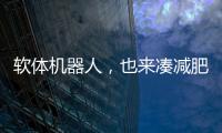 快排公司十年历程，霸屏兔 seo 的崛起与坚守