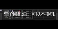 快排公司十年历程，霸屏兔 seo 的崛起与坚守