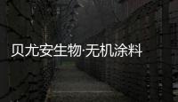 快排公司十年历程，霸屏兔 seo 的崛起与坚守