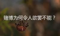 赌博为何令人欲罢不能？