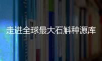 快排公司十年历程，霸屏兔 seo 的崛起与坚守