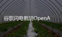 谷歌闪电截胡OpenAI
，挖走这家公司CEO与核心大脑