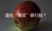 谁在“爆买”银行股？