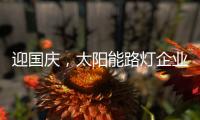迎国庆
，太阳能路灯企业忙业绩同时要保证品质