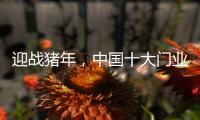 迎战猪年，中国十大门业品牌深耕精众圈子