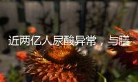 快排公司十年历程，霸屏兔 seo 的崛起与坚守