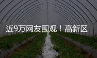 近9万网友围观！高新区这场自然与文明的“云约会”太赞了