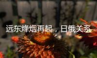 远东烽烟再起	
，日俄关系为何再度紧张？丨智库视点