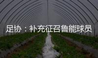 足协
：补充征召鲁能球员刘洋入选国足集训名单